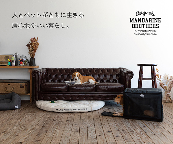 MANDARINE BROTHERSの犬用キャリーを確認する
